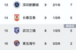 关于鲁能取得连胜，积分榜位置更稳固的信息